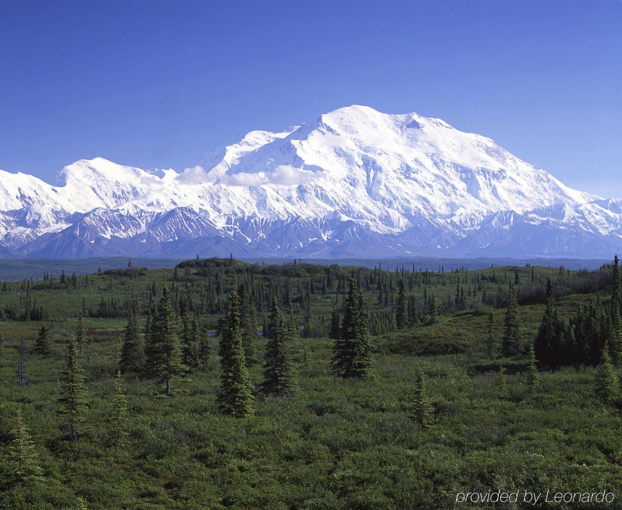 Alaska travel. Денали Аляска. Курорт Маккинли Аляска. Денали Северная Америка. Национальный парк Денали Аляска Дикая природа.